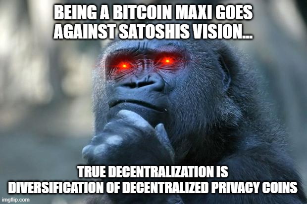 Bitcoin maxis r wrong | BEING A BITCOIN MAXI GOES AGAINST SATOSHIS VISION... TRUE DECENTRALIZATION IS DIVERSIFICATION OF DECENTRALIZED PRIVACY COINS | image tagged in deep thoughts | made w/ Imgflip meme maker