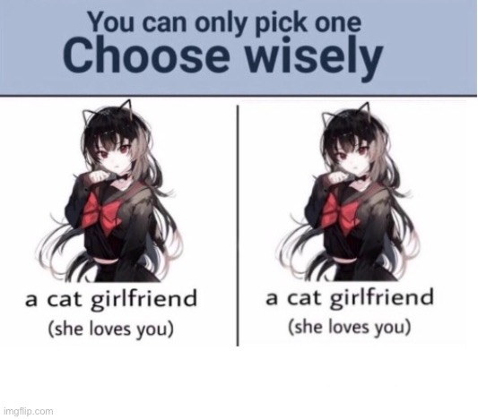 Choose wisely | image tagged in choose wisely | made w/ Imgflip meme maker