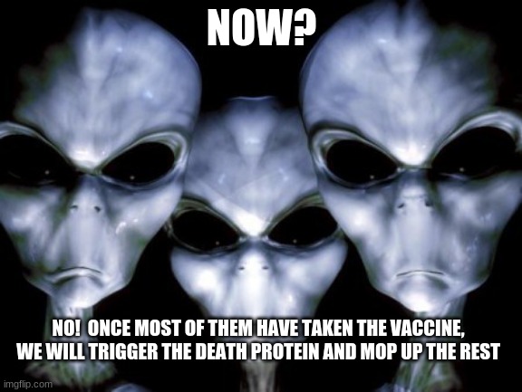 Follow the plan | NOW? NO!  ONCE MOST OF THEM HAVE TAKEN THE VACCINE, WE WILL TRIGGER THE DEATH PROTEIN AND MOP UP THE REST | image tagged in angry aliens,follow the plan,death to humans,death protein,take your shot,mop up the survivors | made w/ Imgflip meme maker