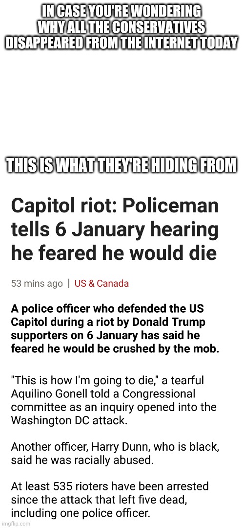 They're busy burying their heads in the sand | IN CASE YOU'RE WONDERING WHY ALL THE CONSERVATIVES DISAPPEARED FROM THE INTERNET TODAY; THIS IS WHAT THEY'RE HIDING FROM | image tagged in blank white template,conservatives,terrorism,maga,trump | made w/ Imgflip meme maker