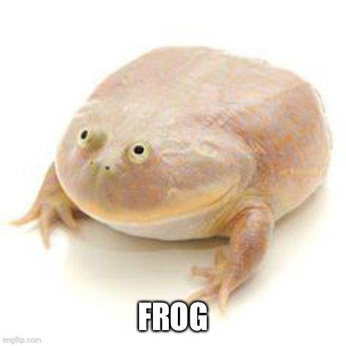 Mak | FROG | image tagged in wednesday frog blank | made w/ Imgflip meme maker