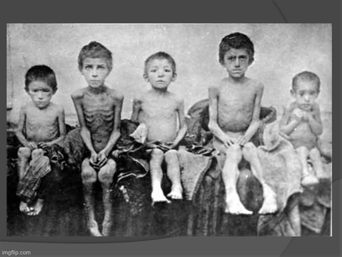 The Holodomor: Genocide or nah? Ask these kids | image tagged in holodomor | made w/ Imgflip meme maker