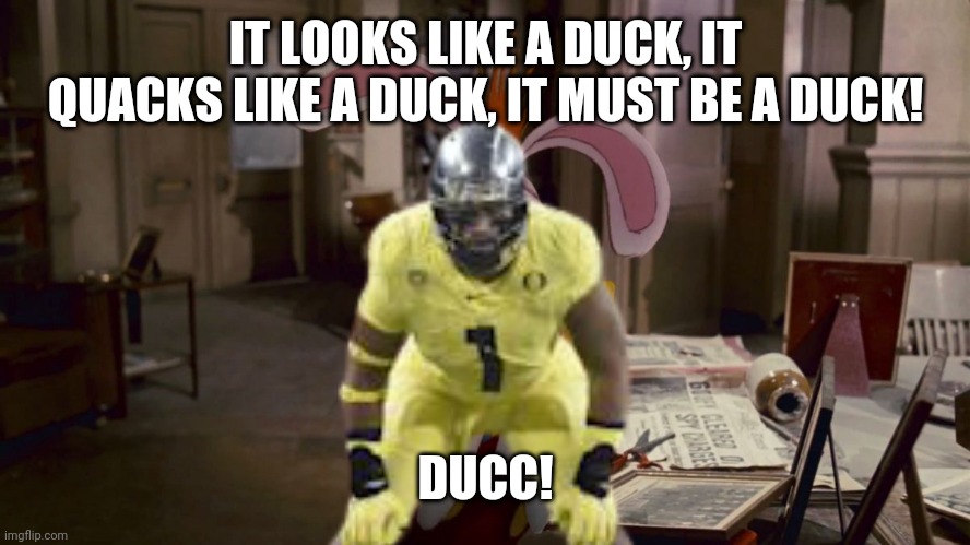 *ducks | IT LOOKS LIKE A DUCK, IT QUACKS LIKE A DUCK, IT MUST BE A DUCK! DUCC! | image tagged in ducks | made w/ Imgflip meme maker