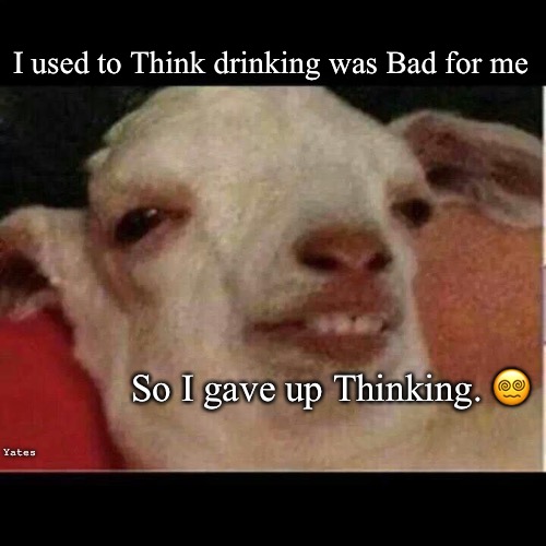 Drunken Goat | I used to Think drinking was Bad for me; So I gave up Thinking. 😵‍💫; Yates | image tagged in drunk goat,drunk | made w/ Imgflip meme maker