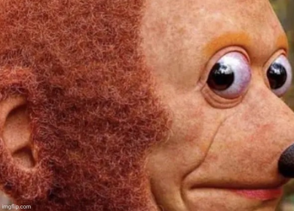 Monkey | image tagged in monkey | made w/ Imgflip meme maker