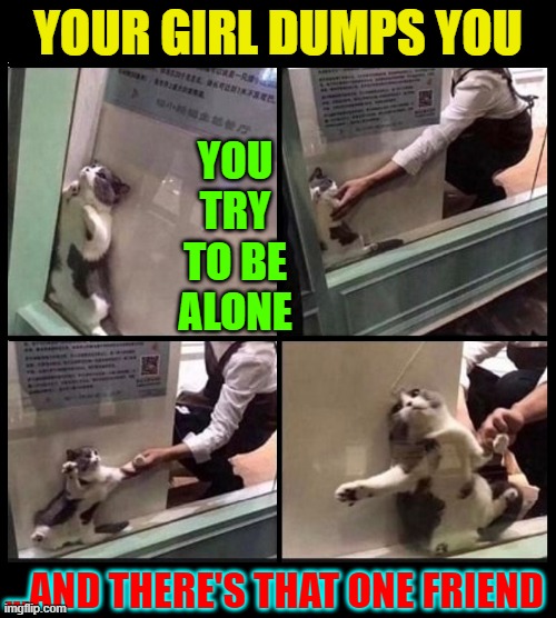 Can't You Just Leave Me Alone | YOUR GIRL DUMPS YOU; YOU TRY TO BE
ALONE; ...AND THERE'S THAT ONE FRIEND | image tagged in vince vance,depressed cat,cats,poem,memes,leave me alone | made w/ Imgflip meme maker