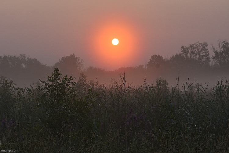 this morning facing east in a field | image tagged in sunrise,kewlew | made w/ Imgflip meme maker