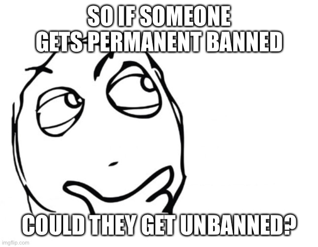 I feel like knowing this now |  SO IF SOMEONE GETS PERMANENT BANNED; COULD THEY GET UNBANNED? | image tagged in hmmm | made w/ Imgflip meme maker