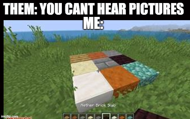 placing the blocks | ME:; THEM: YOU CANT HEAR PICTURES | image tagged in minecraft memes | made w/ Imgflip meme maker