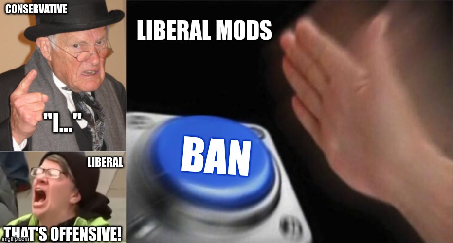 we can't say anything anymore | LIBERAL MODS; CONSERVATIVE; "I..."; BAN; LIBERAL; THAT'S OFFENSIVE! | image tagged in memes,back in my day,screaming liberal,blank nut button | made w/ Imgflip meme maker