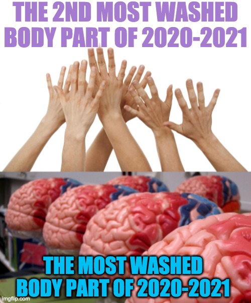 2020-21 Most Washed Body Parts | THE 2ND MOST WASHED BODY PART OF 2020-2021; THE MOST WASHED BODY PART OF 2020-2021 | image tagged in hands,brains,libtards | made w/ Imgflip meme maker