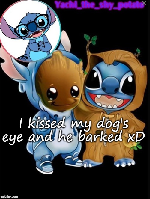 Yachis cute temp | I kissed my dog's eye and he barked xD | image tagged in yachis cute temp | made w/ Imgflip meme maker