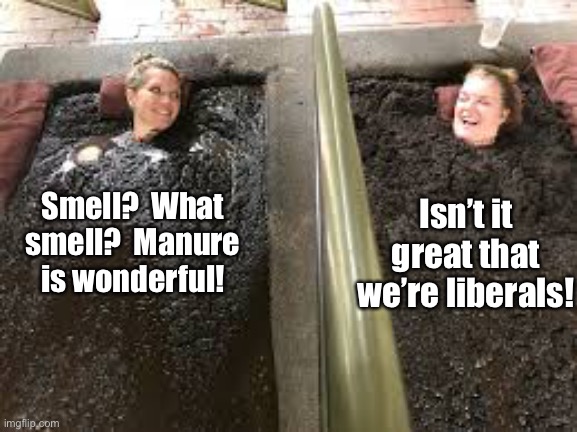 Smell?  What smell?  Manure is wonderful! Isn’t it great that we’re liberals! | made w/ Imgflip meme maker