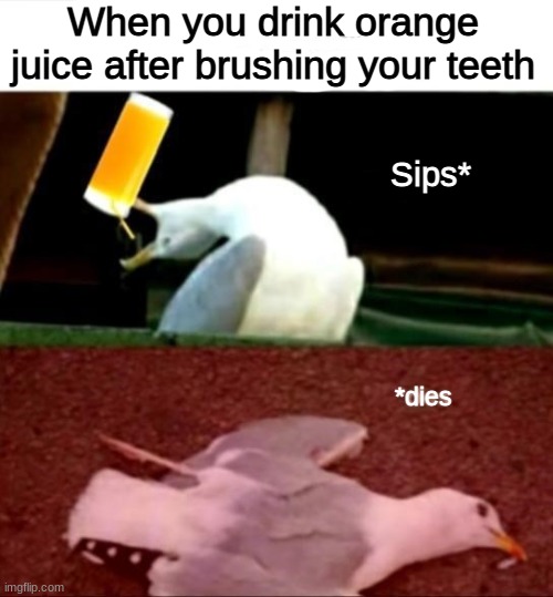 I can't think of a Good title for this |  When you drink orange juice after brushing your teeth; Sips*; *dies | image tagged in inhaling seagull,died,relatable,dank memes,orange juice,toothpaste | made w/ Imgflip meme maker