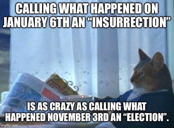 Lies...so many lies... | CALLING WHAT HAPPENED ON JANUARY 6TH AN “INSURRECTION”; IS AS CRAZY AS CALLING WHAT HAPPENED NOVEMBER 3RD AN “ELECTION”. | image tagged in memes,i should buy a boat cat | made w/ Imgflip meme maker