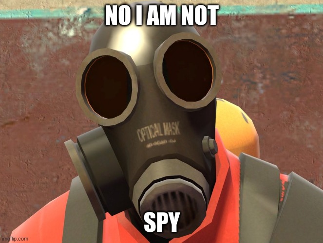 Pyro Faces | NO I AM NOT SPY | image tagged in pyro faces | made w/ Imgflip meme maker