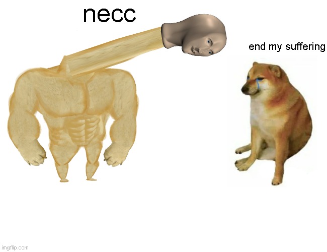 necc | necc; end my suffering | image tagged in memes,buff doge vs cheems | made w/ Imgflip meme maker