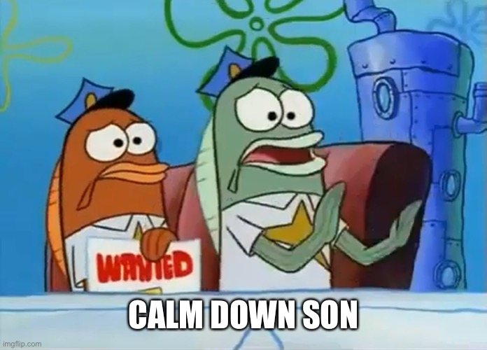 Calm down son | CALM DOWN SON | image tagged in calm down son | made w/ Imgflip meme maker