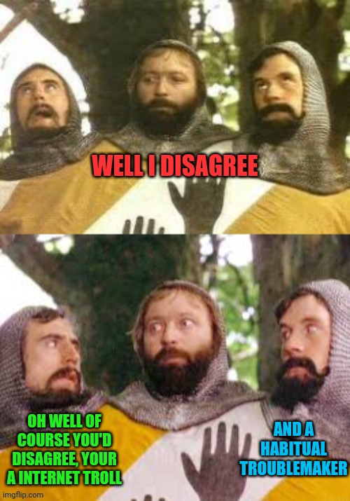 Holy Grail Three Heads | WELL I DISAGREE OH WELL OF COURSE YOU'D DISAGREE, YOUR A INTERNET TROLL AND A HABITUAL TROUBLEMAKER | image tagged in holy grail three heads | made w/ Imgflip meme maker