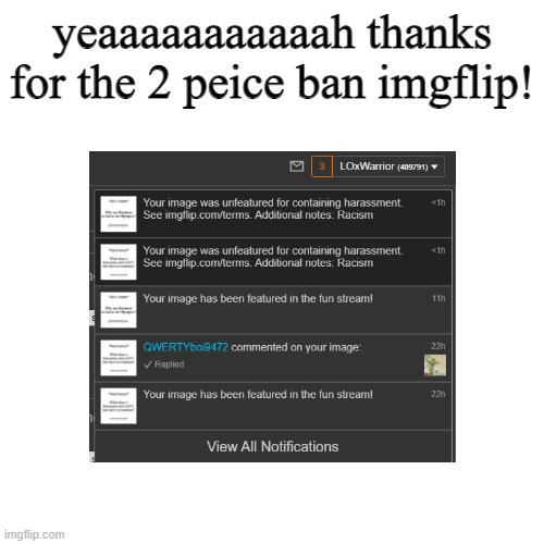 2 piece baby | yeaaaaaaaaaaah thanks for the 2 peice ban imgflip! | image tagged in funny memes,memes | made w/ Imgflip meme maker