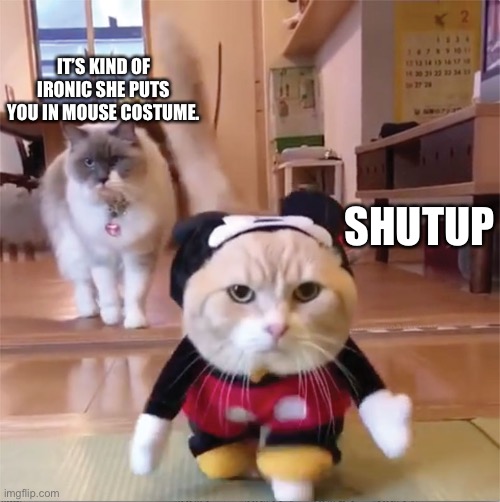 mickey mouse cat house | IT’S KIND OF IRONIC SHE PUTS YOU IN MOUSE COSTUME. SHUTUP | image tagged in mickey mouse cat house | made w/ Imgflip meme maker