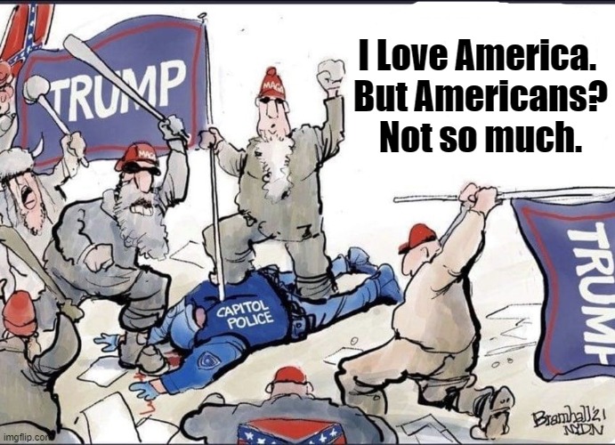 Americans suck! | I Love America. 
But Americans?
Not so much. | image tagged in america,americans,insurrection,trump,maga | made w/ Imgflip meme maker