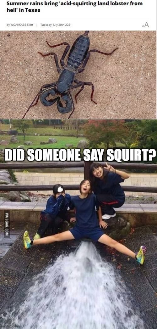 No Squirt | DID SOMEONE SAY SQUIRT? | image tagged in squirt | made w/ Imgflip meme maker