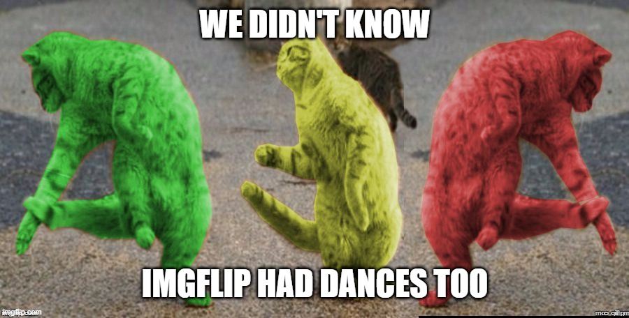 WE DIDN'T KNOW IMGFLIP HAD DANCES TOO | image tagged in three dancing raycats | made w/ Imgflip meme maker
