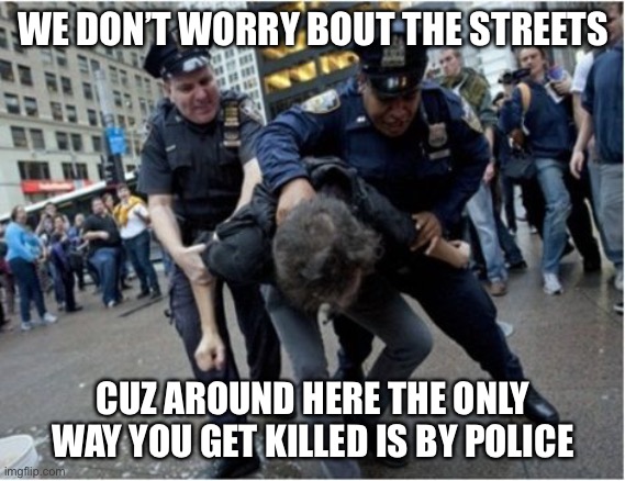 Police brutality | WE DON’T WORRY BOUT THE STREETS; CUZ AROUND HERE THE ONLY WAY YOU GET KILLED IS BY POLICE | image tagged in police brutality,true story bro,welcome to the neighborhood | made w/ Imgflip meme maker