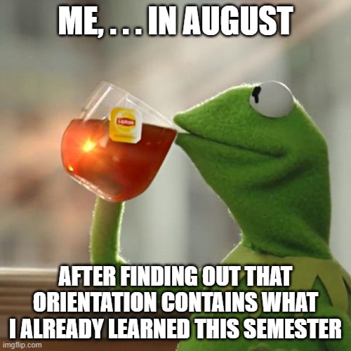 But That's None Of My Business | ME, . . . IN AUGUST; AFTER FINDING OUT THAT ORIENTATION CONTAINS WHAT I ALREADY LEARNED THIS SEMESTER | image tagged in memes,but that's none of my business,kermit the frog | made w/ Imgflip meme maker