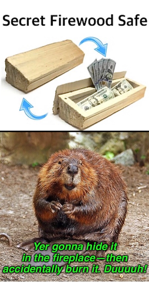 Dum-da-dumb-dumb | Yer gonna hide it
in the fireplace—then accidentally burn it. Duuuuh! | image tagged in funny memes,bad decision | made w/ Imgflip meme maker