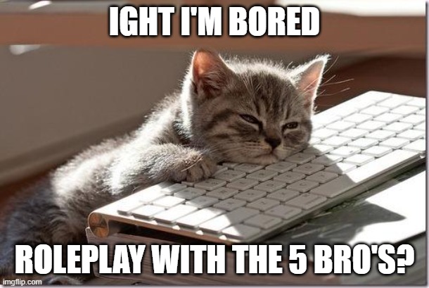 bored as frick | IGHT I'M BORED; ROLEPLAY WITH THE 5 BRO'S? | image tagged in bored keyboard cat,undertale,boredom,roleplaying | made w/ Imgflip meme maker