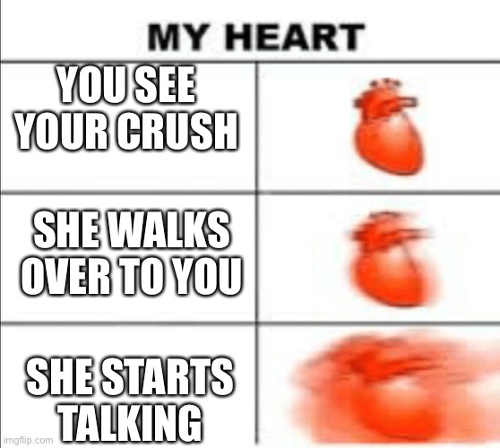 My heart meme | YOU SEE YOUR CRUSH; SHE WALKS OVER TO YOU; SHE STARTS TALKING | image tagged in my heart meme | made w/ Imgflip meme maker