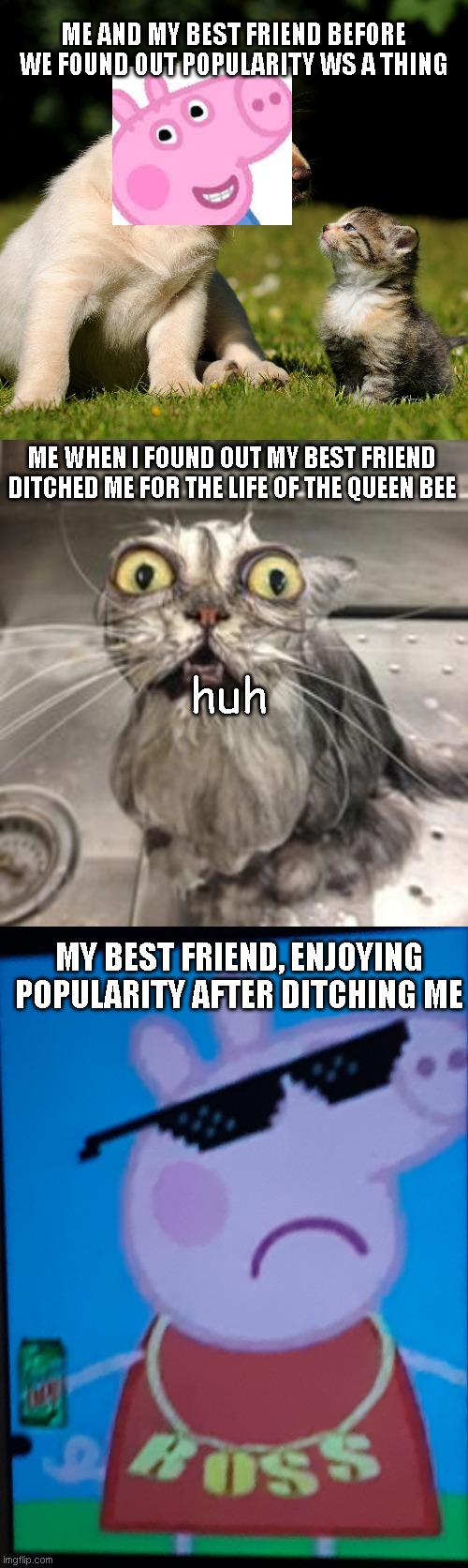 ME AND MY BEST FRIEND BEFORE WE FOUND OUT POPULARITY WS A THING; ME WHEN I FOUND OUT MY BEST FRIEND DITCHED ME FOR THE LIFE OF THE QUEEN BEE; huh; MY BEST FRIEND, ENJOYING POPULARITY AFTER DITCHING ME | image tagged in me and you is friends - fb,cat bath,peppa pig with da homies | made w/ Imgflip meme maker
