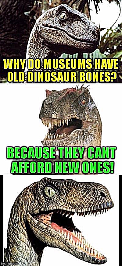 . | image tagged in old dinosaur bones,repost,eyeroll,bones,fossils,bad pun dino | made w/ Imgflip meme maker