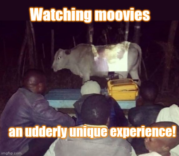 Cow projector | Watching moovies; an udderly unique experience! | image tagged in cow projector,cow,movies,funny | made w/ Imgflip meme maker