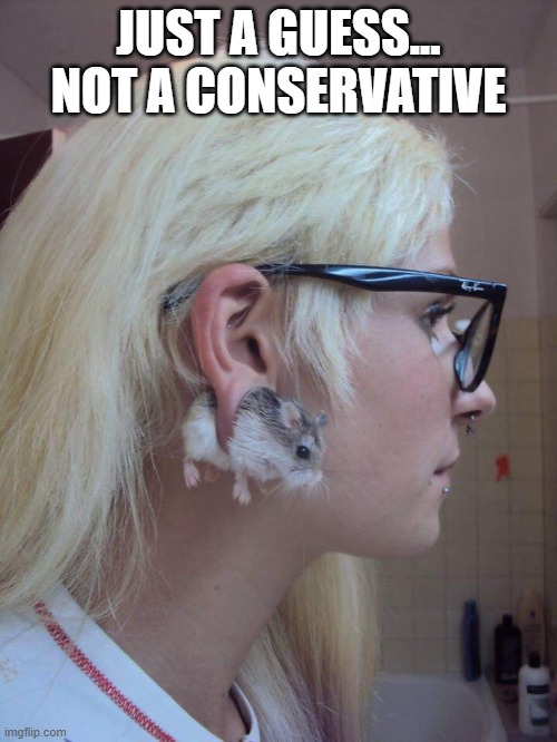 Not a conservative. | JUST A GUESS... NOT A CONSERVATIVE | image tagged in not a conservative | made w/ Imgflip meme maker