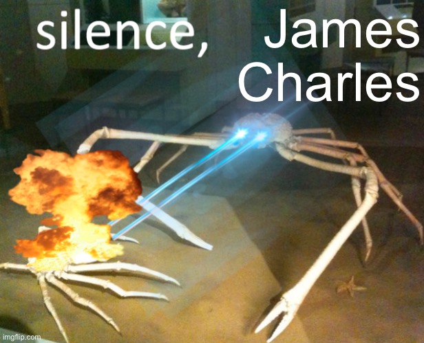 Silence Crab | James Charles | image tagged in silence crab | made w/ Imgflip meme maker
