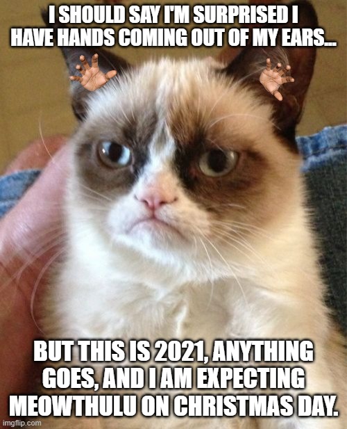 Expecting all the things to happen now. | I SHOULD SAY I'M SURPRISED I HAVE HANDS COMING OUT OF MY EARS... BUT THIS IS 2021, ANYTHING GOES, AND I AM EXPECTING MEOWTHULU ON CHRISTMAS DAY. | image tagged in memes,grumpy cat,meowthulu,anything goes | made w/ Imgflip meme maker