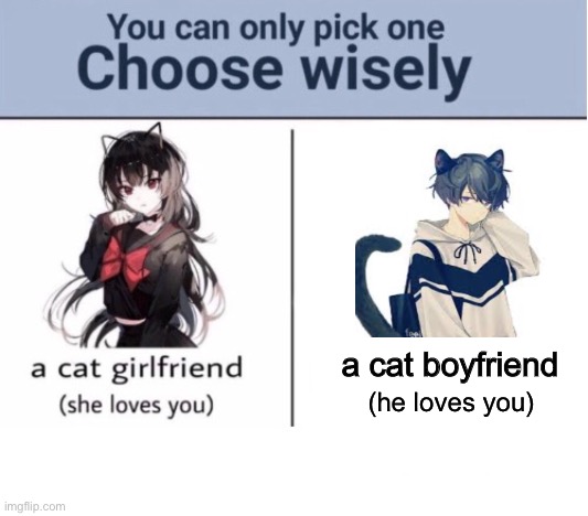 Choose wisely | a cat boyfriend; (he loves you) | image tagged in choose wisely | made w/ Imgflip meme maker