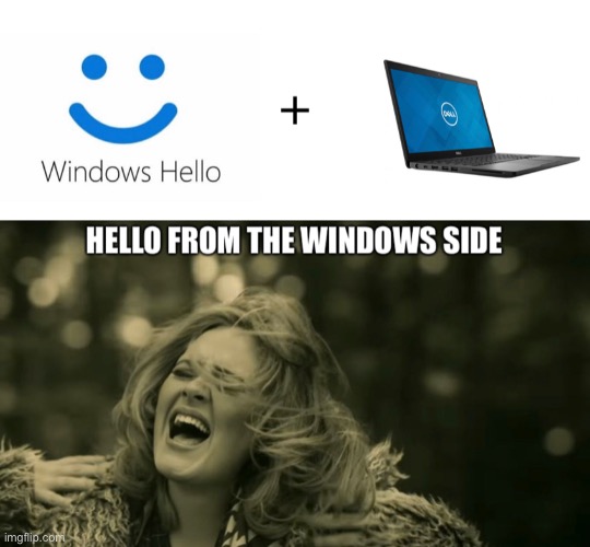 What happens when you use Windows Hello on a Dell? | image tagged in adele hello,windows,dell | made w/ Imgflip meme maker