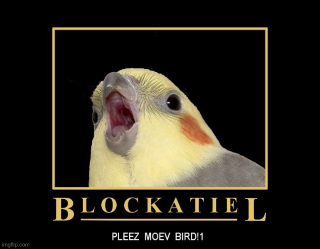 pleez moev bird!1 | made w/ Imgflip meme maker