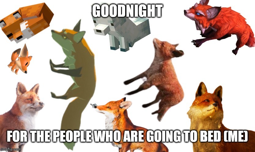 GOODNIGHT; FOR THE PEOPLE WHO ARE GOING TO BED (ME) | image tagged in video game foxes | made w/ Imgflip meme maker