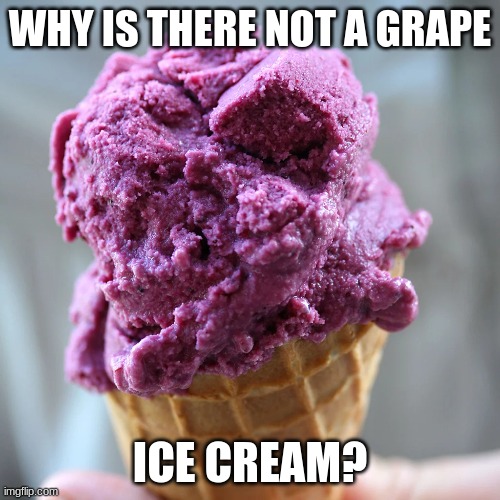 It could taste good | WHY IS THERE NOT A GRAPE; ICE CREAM? | made w/ Imgflip meme maker