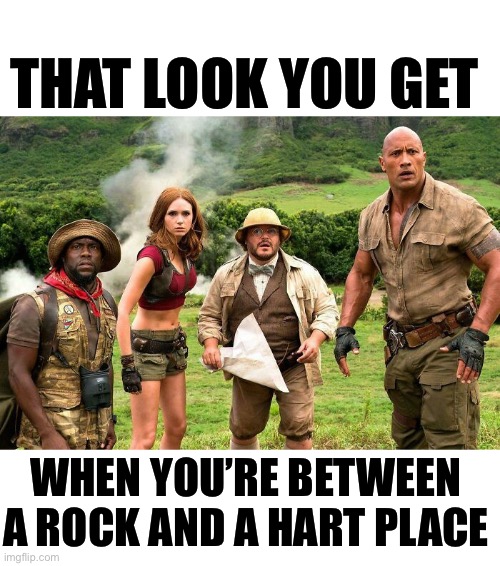 Rock and a hard place | THAT LOOK YOU GET; WHEN YOU’RE BETWEEN A ROCK AND A HART PLACE | image tagged in puns,eyeroll,funny | made w/ Imgflip meme maker