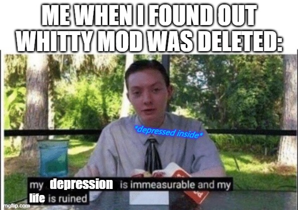 I WANNA DIEEEEEEEEEEEE *cries* | ME WHEN I FOUND OUT WHITTY MOD WAS DELETED:; *depressed inside*; depression; life | image tagged in my dissapointment is immeasurable and my day is ruined | made w/ Imgflip meme maker