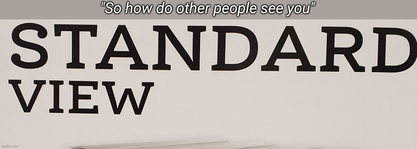 "So how do other people see you" | made w/ Imgflip meme maker