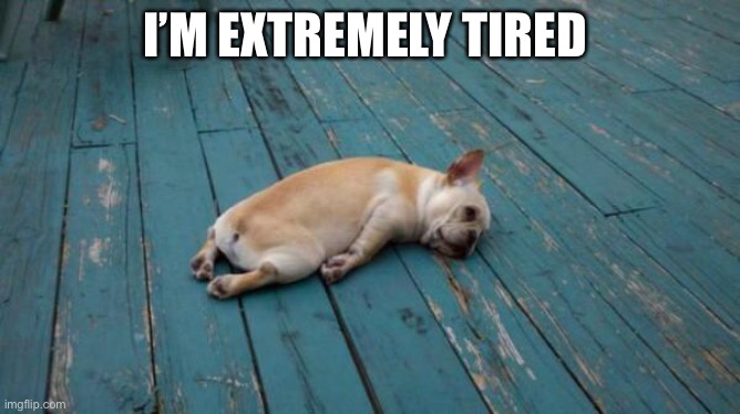 tired dog | I’M EXTREMELY TIRED | image tagged in tired dog | made w/ Imgflip meme maker