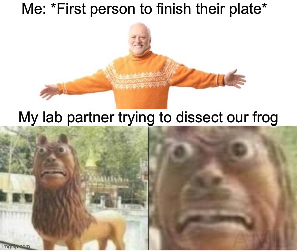Dissecting frog | Me: *First person to finish their plate*; My lab partner trying to dissect our frog | image tagged in wtf,frog,angry,desgostang | made w/ Imgflip meme maker