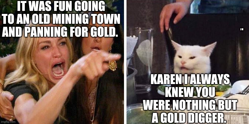 Smudge the cat | IT WAS FUN GOING TO AN OLD MINING TOWN AND PANNING FOR GOLD. J M; KAREN I ALWAYS KNEW YOU WERE NOTHING BUT A GOLD DIGGER. | image tagged in smudge the cat | made w/ Imgflip meme maker